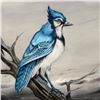 Image 2 : Eli Grey Bluejay by Katon Original