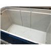 Image 2 : 3 PLASTIC COOLERS