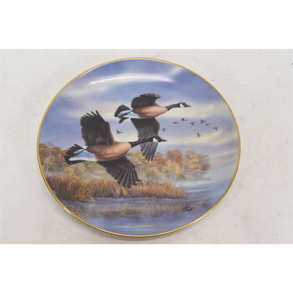 8 Collector Plates