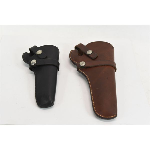 2 Holsters