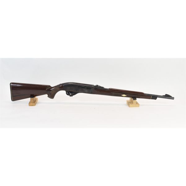 Remington Model Nylon 66 Rifle