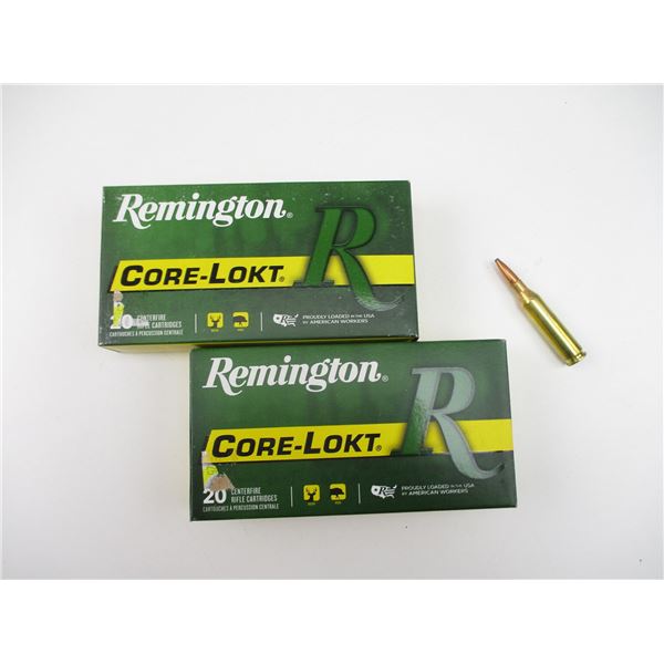 REMINGTON .243 WIN AMMO