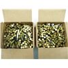 Image 2 : REMINGTON .22 THUNDERBOLT AMMO