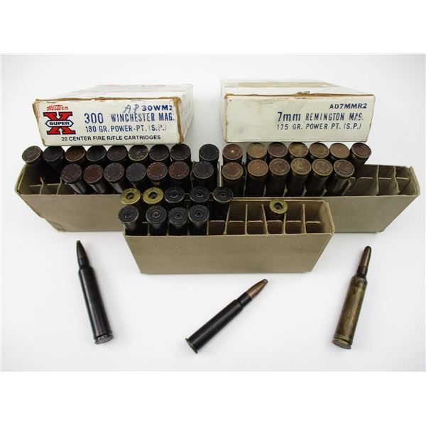 ASSORTED RIFLE DUMMY RNDS