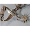 Image 2 : Star Marked Buermann Silver Inlaid Spurs- .75" Bands- 2" Drop Shanks- 10 Point Rowels- Chap Guards- 