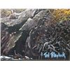 Image 3 : Signed And Numbered Ted Blaylock Artist Proof Print On Canvas- 1/30- 40" X 30"
