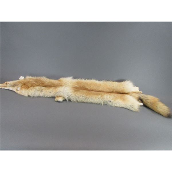 Tanned Alaskan Wolf Hide- 60"X10"- Nice