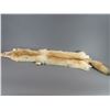Image 1 : Tanned Alaskan Wolf Hide- 60"X10"- Nice