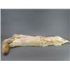 Image 4 : Tanned Alaskan Wolf Hide- 60"X10"- Nice