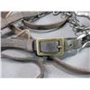 Image 6 : Early US Cavalry Headstall And Bit- Marked US Rock Island Arsenal- Reins- Original Rosettes