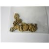 Image 1 : 1/4 Troy Oz Alaskan Placer Gold Nuggets