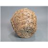 Image 4 : Pine Needle Basket- Excellent Condition- 5.5" X 7.5"