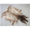 Image 1 : Tanned Elk Hide