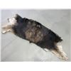 Image 1 : Tanned Moose Hide- 70" X 28"