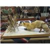 Image 1 : Red Fox And Pheasant Mounts in A Winter Scene- 49" X 25.5"