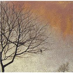 Shannon Williamson