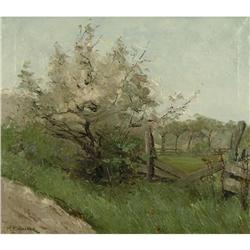 Mary Evelyn Wrinch (Reid)