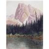 Image 1 : Thomas Harrison Wilkinson