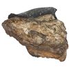 Image 2 : Clump of one Mexico City, Mexico, cob 4 reales, Philip V, assayer not visible, on chunk of encrustat