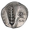 Image 2 : Lucania, Metapontum, AR stater, 340-330 BC.