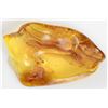 Image 2 : Baltic amber with preserved fly and ant, approx. 44 million years old, from Kaliningrad, Russia.