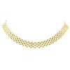 Image 1 : 17.75 Inch Five Row Panther Link Chain - 18KT Yellow Gold