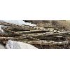 Image 1 : JOB LOT - QTY OF CEDAR RAILS - APPROX 20