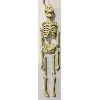 Image 1 : PLASTER(?) SKELETON DECORATION - 50in  TALL