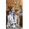 Image 1 : STAR WARS C3PO CARDBOARD STANDEE - 6ft TALL