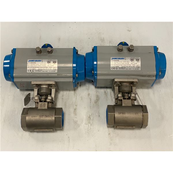 (2) Jamesbury # VPVL250SR4/5BD Actuators