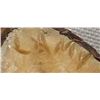 Image 11 : Zuni Tagua Nut Beaver Fetish by Alvert Lamy