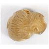 Image 8 : Zuni Tagua Nut Beaver Fetish by Alvert Lamy