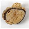 Image 9 : Zuni Tagua Nut Beaver Fetish by Alvert Lamy