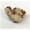 Image 1 : Zuni Royston-in-Rhyolite Bird Fetish by R. Laahty