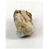Image 3 : Zuni Royston-in-Rhyolite Bird Fetish by R. Laahty