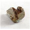 Image 4 : Zuni Royston-in-Rhyolite Bird Fetish by R. Laahty