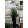Image 2 : Two artificial plants including one in 24" pot and a 20" pot, plus greenery