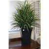 Image 1 : Two artificial potted plants including a 40" and a 33", overall heights including pots