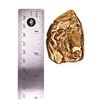Image 4 : 305.25 Gram Yukon Gold Nugget