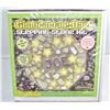 Image 1 : GLOW IN THE DARK STEPPING STONE KIT