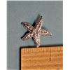 Image 1 : 17)  SILVER TONE AND CRYSTAL ENCRUSTED STAR-