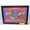 Image 1 : FRAMED VINTAGE FRUIT LABEL - BLUE BIRD APPLES