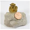 Image 1 : LUCKY MONKEY WITH GIBRALTAR COIN