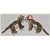 Image 1 : 2020 TIGER BEANIE BABIES