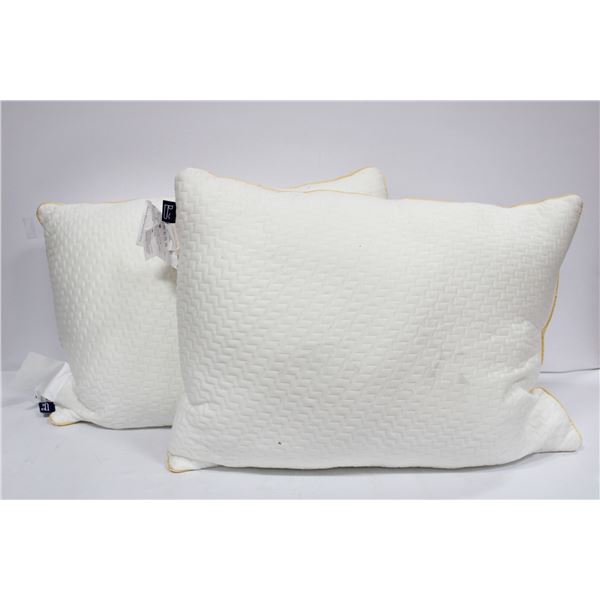 SET OF 2 NEW BEDSTORY ALTERNATIVE DOWN PILLOWS