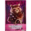 Image 1 : Signed Guardians of the Galaxy Vol. 2: Rocket Photo