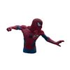 Image 1 : Signed Spiderman Stan Lee Piggy Bank  (PSA)
