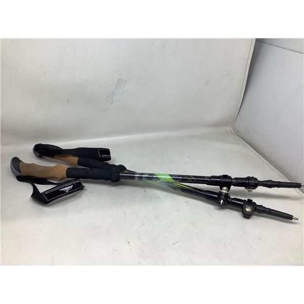 Cascade Mountain Tech Walking Sticks