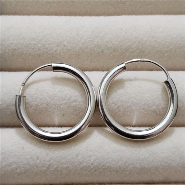Silver Earrings, Suggested Retail Value $50