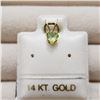 Image 1 : 14K Yellow Gold Peridot Pendant, Made in Canada, Suggested Retail Value $80